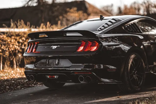 بلاي ساني كازينو تطبيق أندرويد/آي أو إس